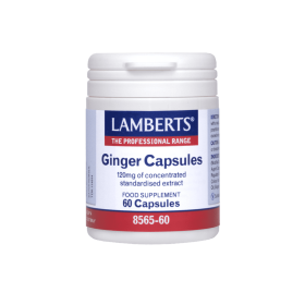 Lamberts Ginger 120mg 60 caps
